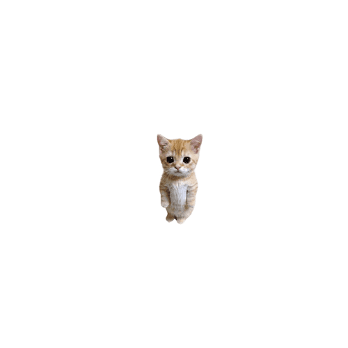 SMOLCAT